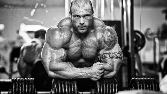 Steroids: Understanding Their Impact and Usage Steroids: Understanding Their Impact and Usage